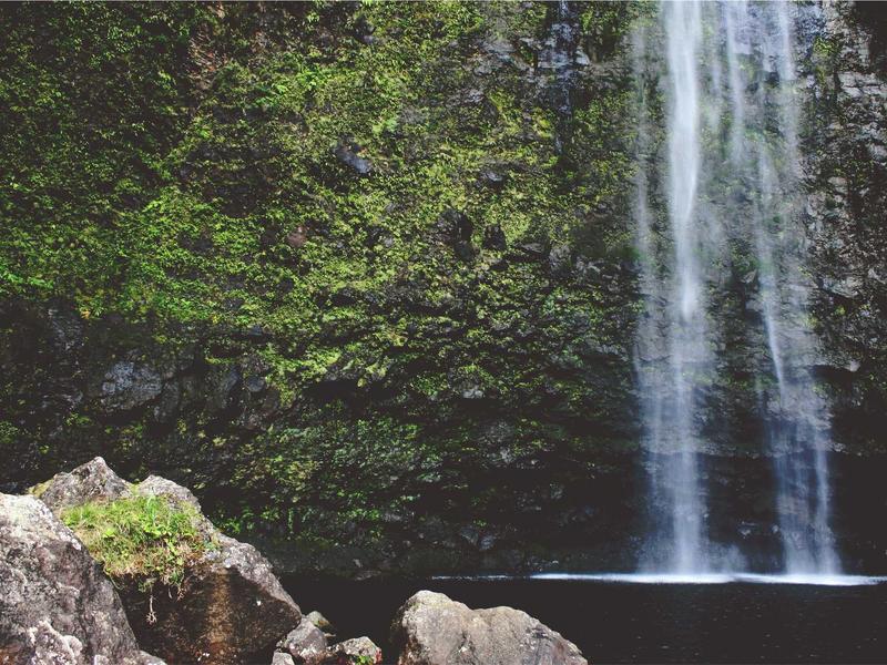 privacy screenshot 1