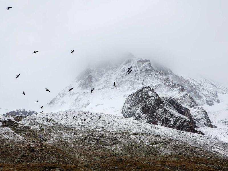 privacy screenshot 6